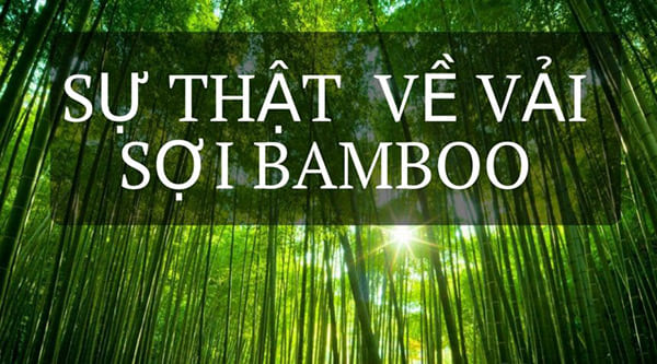 Rừng tre xanh làm vải sợm bamboo